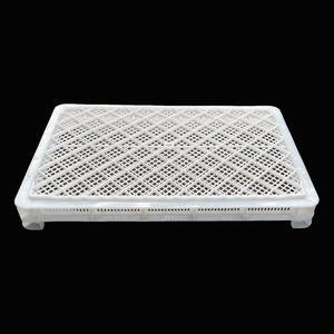 Bandejas de Secado Apilables de Plástico para Pepino de Mar / Mariscos / Pescado / Bolas de Pintura / Gomitas / Cápsulas Blandas / Vegetales - Product Image 6