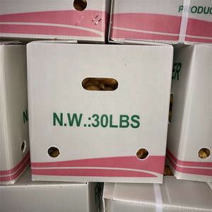 Свежий имбирь новый урожай имбирь хорошего качества - Product Image 6