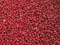 Extrait de haricot rouge de qualité supérieure, prix de gros direct usine, poudre d'extrait de haricot rouge de qualité alimentaire