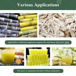 Extracteurs de jus de canne à sucre HMT et machines à jus robustes - Product Image 6