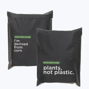 Bolsas biodegradables de plástico para correo postal, bolsas de poliéster personalizadas para correo postal