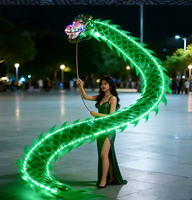 Danse du dragon lumineuse LED rouge, jaune, bleue, verte pour jardin et place publique