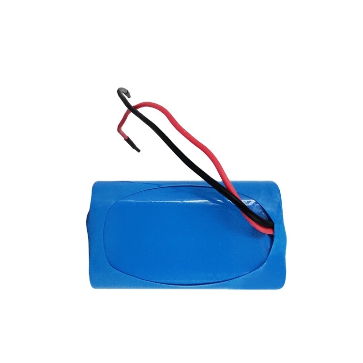 Top quality 24v type cell li-ion battery pack lithium battery rechargeable