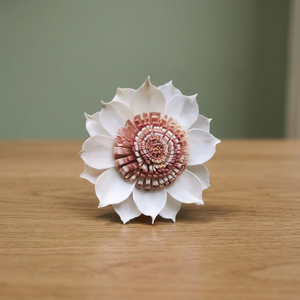 Handmade <b>White</b> 8 cm Sola Wood <b>Flowers</b> Eco-friendly <b>Artificial</b> Reed Diffuser Indoor Home Decorative Plants Wholesale Wedding - Product Image 3