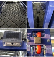 Chute d'immobilisation de bétail robuste hydraulique galvanisée
