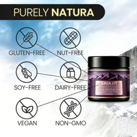 Gummies de Shilajit Naturel OEM : Soutien Immunitaire et Énergie Instantanée – Complexe Ashwagandha et Mousse de Mer, Pastèque, Haute Puissance, Vrac