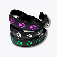 Collier de chien réglable en cuir avec lumière LED personnalisée, élégant, simple, plusieurs couleurs, durable, lavable, pour la promenade nocturne