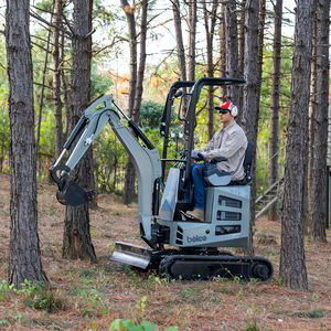 <span class=keywords><strong>Boleo</strong></span> China Precios de miniexcavadoras compactas al por mayor con cubo pulgar - Product Image 4