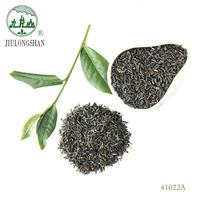 Té Verde Oolong Vietnamita de Alta Calidad, Té Verde Orgánico Chunmee, Té Suelto 41022A, Empaquetado en Caja a Granel, Especial para Natural