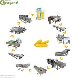 उच्च गुणवत्ता निरंतर ताजा मीठा मकई खाना पकाने मशीन मिठाई मकई प्रसंस्करण लाइन - Product Image 1