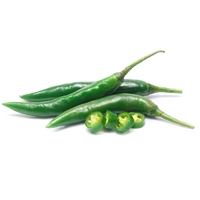 Piment vert frais de haute qualité du Vietnam, herbe épicée à traitement brut, très demandé pour l'exportation