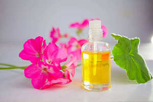 Huile essentielle de géranium Bio 100% Pure Nature Huile de parfum de géranium Diffuseur d'huiles de massage pour le corps Soins de la peau - Product Image 2