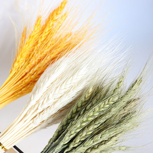 Bouquet <span class=keywords><strong>de</strong></span> fleurs séchées naturelles (<span class=keywords><strong>blé</strong></span>, marguerite et <span class=keywords><strong>orge</strong></span>) pour <span class=keywords><strong>d</strong></span>écoration <span class=keywords><strong>de</strong></span> jardin, marque HSJ, fleurs véritables du Guangdong - Product Image 1