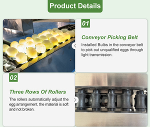 Automatic 10000PCS PER HOUR Egg Grading <b>Machine</b> Egg Grader Automatic Chicken Egg Sorting <b>Machine</b> - Product Image 5