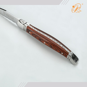<span class=keywords><strong>Laguiole</strong></span>-Juego de cuchillos de acero inoxidable con mango de Francia, conjunto de cuchillos para carne con caja de regalo - Product Image 3