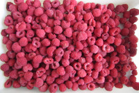 IQF Diepvries Frambozen Hele 95% Min. Bulk Diepvries Frambozen BRC HACCP Gecertificeerd Diepvriesvruchten voor Bakkerijen Smoothies Yoghurt