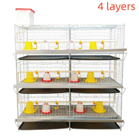 Équipement avicole commercial, cage en acier galvanisé automatisée pour cailles et poussins