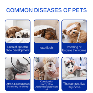 <span class=keywords><strong>Kit</strong></span> de <span class=keywords><strong>test</strong></span> rapide de santé pour animaux de compagnie portable, carte de <span class=keywords><strong>test</strong></span> rapide de 28 jours pour chiens, produits vétérinaires pour animaux de compagnie - Product Image 3