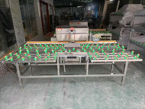 Nhà Máy Giá Thủy Tinh Nhỏ Máy Móc Chế Biến Của Nhãn Hiệu Kính Viền Mài Và Phim Loại Bỏ Máy Để Bán - Product Image 5