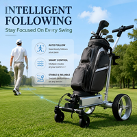 Nouvelle Voiturette de Golf Électrique Intelligente 2026 en Gros, Chariot de Golf Portable Pliable à Suivi Automatique par Télécommande pour Utilisation Extérieure OEM ODM