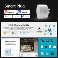 Enchufe Inteligente SIXWGH Matter 10A 16A Tipo B para EE. UU., Enchufe WiFi Tuya Smart Life con Medidor de Energía, Control por Voz con Alexa, Google, Apple y SmartThings