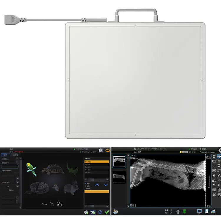 Ssfpd4343a DR X RAY pannello piatto cablato o wireless veterinario software umano rilevatore digitale a raggi x DR xray rilevatore a schermo piatto