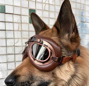 <span class=keywords><strong>Lunettes</strong></span> <span class=keywords><strong>de</strong></span> soleil pliables <span class=keywords><strong>pour</strong></span> chiens, style moderne, imprimé léopard, confortables, coupe-vent, <span class=keywords><strong>pour</strong></span> toutes les saisons - Product Image 6