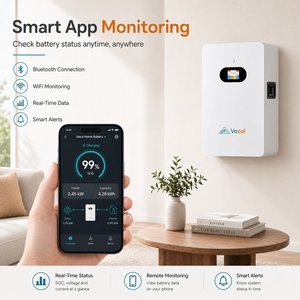 Vesol 200Ah 10kWh 51.2V LiFePO4เก็บพลังงานแสงอาทิตย์ติดผนังบ้านสำรองแบตเตอรี่แยกระบบป้องกัน IP54 ce/<span class=keywords><strong>cb</strong></span>/emc UN38.3 - Product Image 5