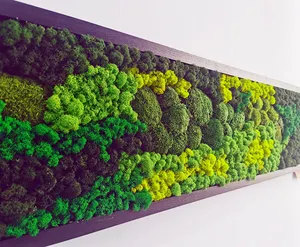 기성품 장식 이끼 프레임 아트 이끼 벽 장식 홈 오피스 장식을위한 실제 천연 나무 이끼 예술