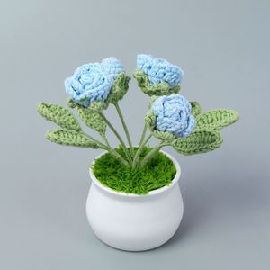 Macetas de Flores Tejidas a Crochet Hechas a Mano para Plantas Pequeñas, Ramo Tejido, Decoración del Hogar, Venta al por Mayor para Graduación y Día de la Madre - Product Image 6