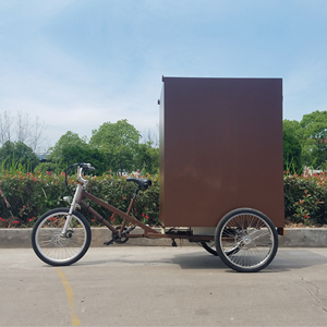 Tricycle de livraison Ester Es-t03 Hard Top Bibo Es-t03 48 Volts - Product Image 2