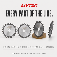 LIVTER Lame de scie à rainurer simple personnalisable 120*3.0-4.0*20*24T pour scie à panneaux