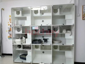 MT Medical cage en bois personnalisée de haute qualité pour chats cage légère pour animaux de compagnie lunettes de tempérament pour <span class=keywords><strong>animalerie</strong></span> - Product Image 3