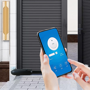 400kg lá duy nhất trọng lượng lưu trữ Pin 220V 110V DC24V 60 Wát động cơ điện điều khiển từ xa tự động Swing cổng mở nhà điều hành - Product Image 3