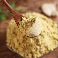 Huou grosir bumbu tunggal rempah-rempah dan rempah jahe bubuk kualitas Premium bumbu bubuk bubuk jahe