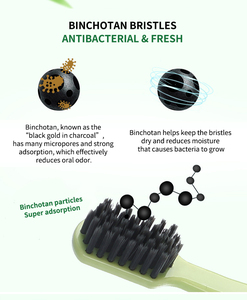 Cepillo de dientes PLA ecológico Econewleaf, cepillo de dientes biodegradable de almidón de maíz con logotipo personalizado, cerdas suaves para uso doméstico - Product Image 3