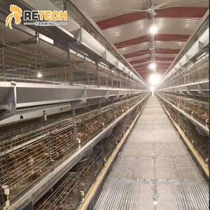 3/4 camadas camada reprodução pullet frango gaiola equipamentos com alimentação bebendo sistema - Product Image 4