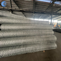 Panier gabion hexagonal tissé enduit de PVC, anti-corrosion, pour projets de conservation de l'eau