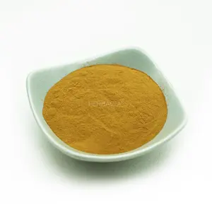 Hot Sales Ginkgo Biloba L. Sperma Ginkgo Zaad Fruit Extract Poeder