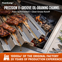 Barbecue portable au charbon de bois pour fêtes en plein air, pliable et compact, idéal pour le camping, la plage, le parc et le jardin