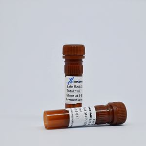 Tinzyme SafeRed, Tinte de Gel para Ácidos Nucleicos, Modelo ST05, 99% de Pureza, Seguro para Toxicidad y Mutagenicidad, Forma de Banda Clara, Buena Tasa de Migración - Product Image 4