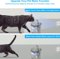 Accessoires pour chiens et chats Distributeur d'eau pour animaux de compagnie avec capteur de mouvement, filtre, fontaine universelle infrarouge alimentée par USB, détecteur Pawty Global