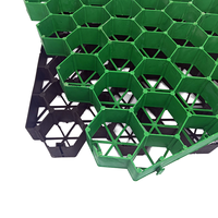 Grille d'herbe avec un excellent drainage pour les surfaces combinées d'herbe et de gravier Conception pratique esthétique
