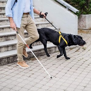 2024 Canne aveugle pliante en aluminium anodisé léger à 5 sections pour aveugles et personnes âgées - Product Image 5