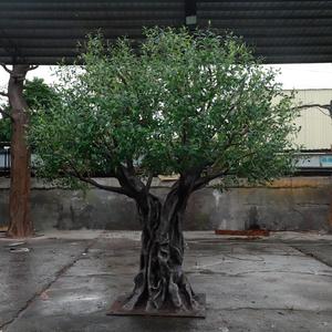 Tùy Chỉnh Lớn Màu Xanh Lá Cây Ficus Cây Nhà Máy Giá Tự Nhiên Cây Ô Liu Nhân Tạo Lớn Cây Ô Liu Cho Trong Nhà Và Ngoài Trời Sử Dụng - Product Image 5