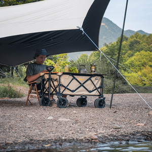 Carrito de Compras Plegable para Exteriores, Carrito de Playa Resistente, de Gran Capacidad, con Ruedas con Freno, para Camping - Product Image 2