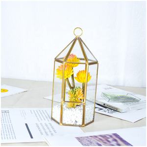 <span class=keywords><strong>Terrarium</strong></span> en verre de maison de fleur géométrique hexagonale d'or pour Pot de plante succulente de table - Product Image 1