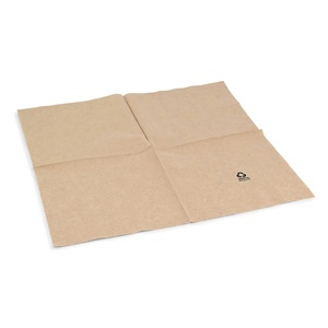 Servilletas de Papel Ecológicas, 33x33cm, 2 Capas, Plegado 1/4, Sin Blanquear, Desechables y Ecológicas - Product Image 5