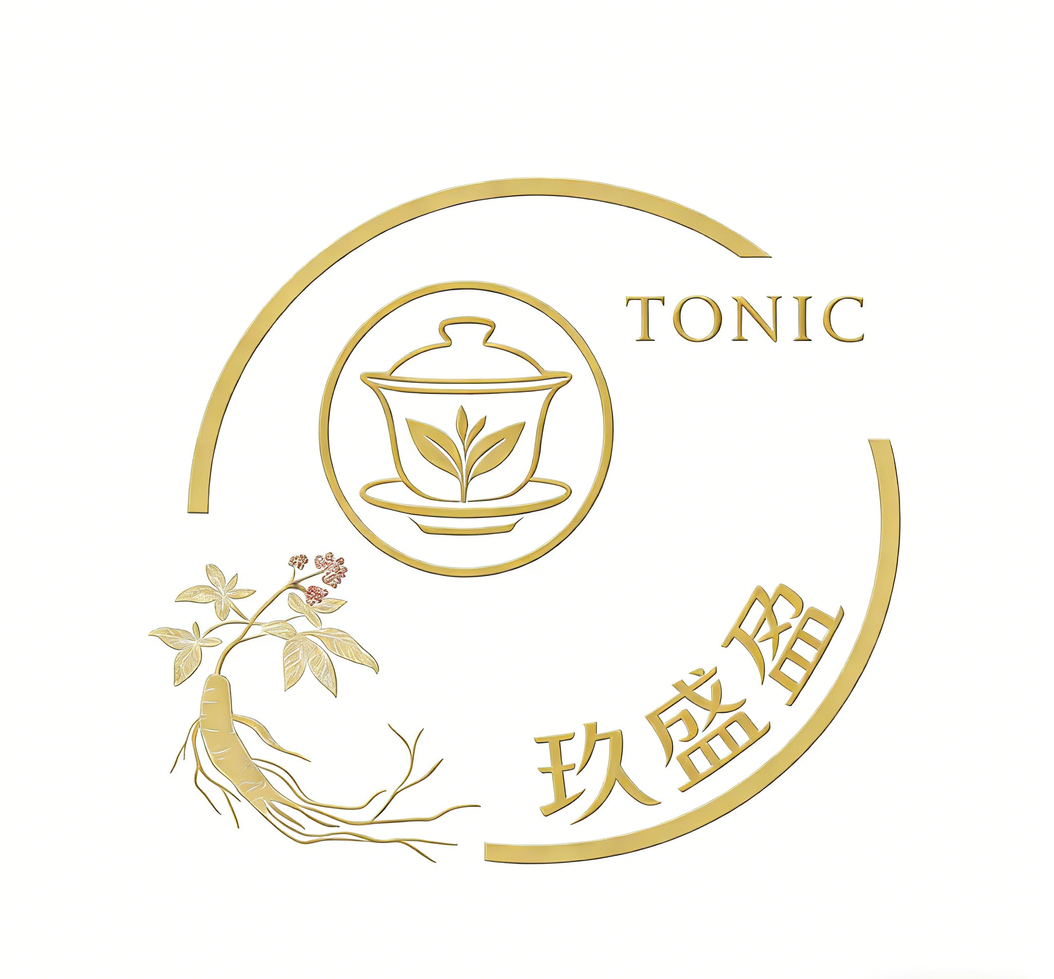 Shenzhen Shengyingyu Trading Co., Ltd. logo