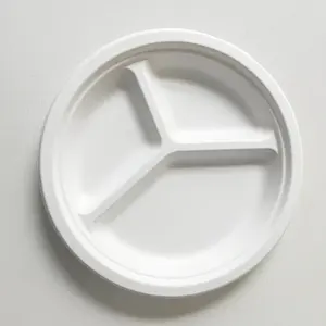 10 Inch White Round Bagasse 3 CP Pulp Molded Plates Biodegradable Disposable Divided Unbleached Tray